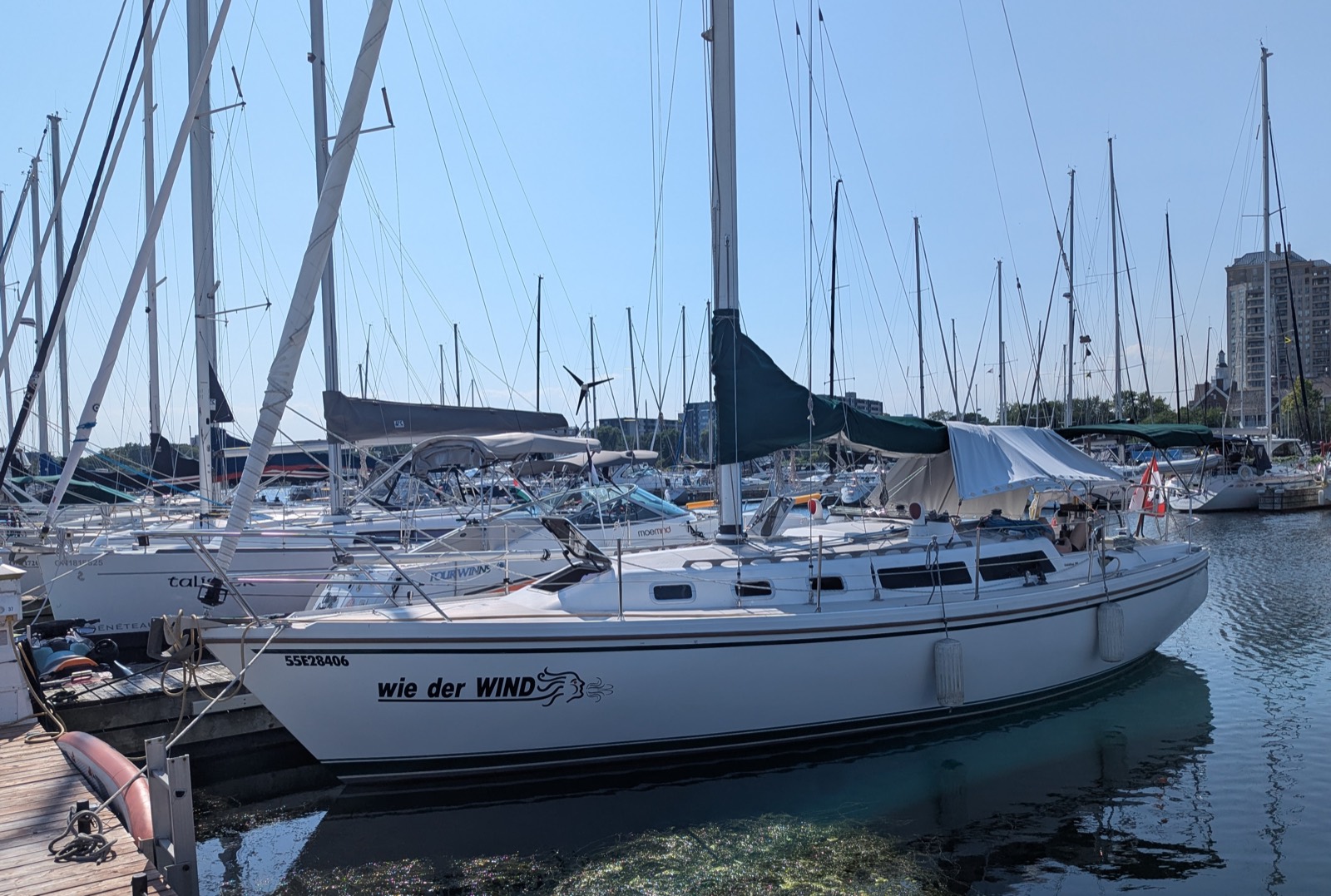 Wie Der Wind, a white Catalina 34 with a green stripe, tied up at a marina dock